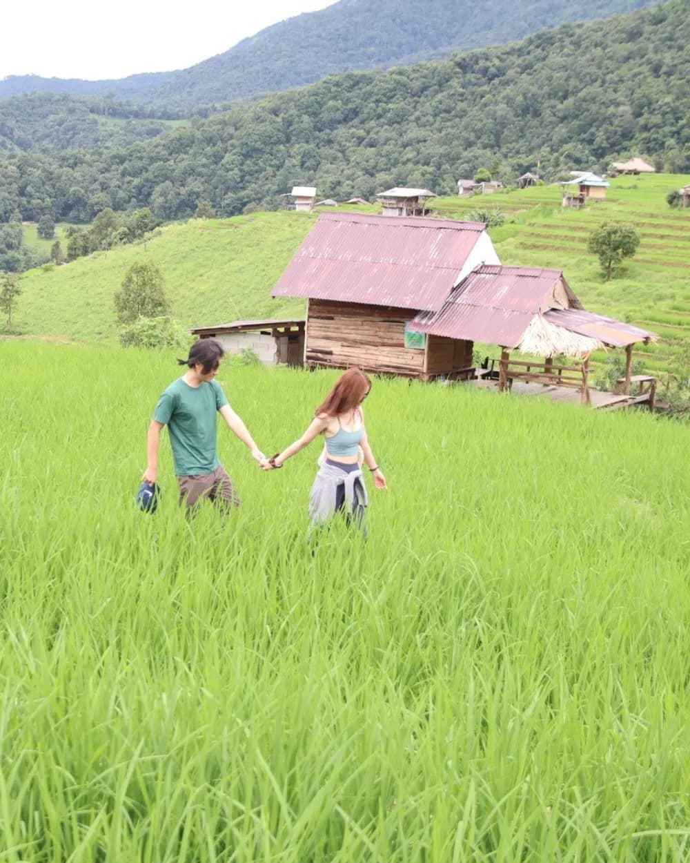 Jam and Tony walking hand in hand away from the camera through waist-high green rice toward a wooden farmhouse, terraced fields and a forested ridge behind